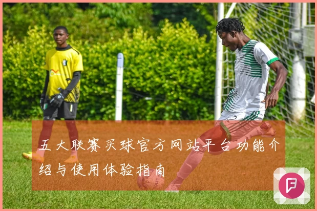 五大联赛买球官方网站平台功能介绍与使用体验指南
