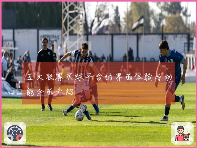 五大联赛买球平台的界面体验与功能全面介绍