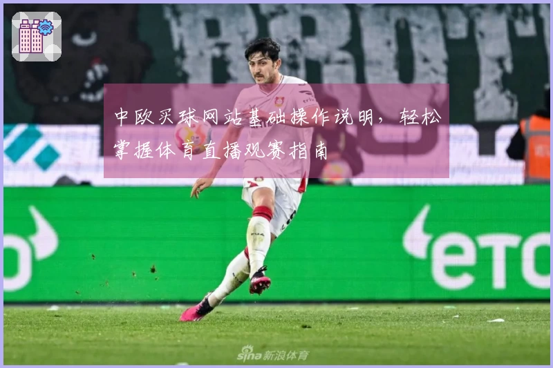 中欧买球网站基础操作说明，轻松掌握体育直播观赛指南