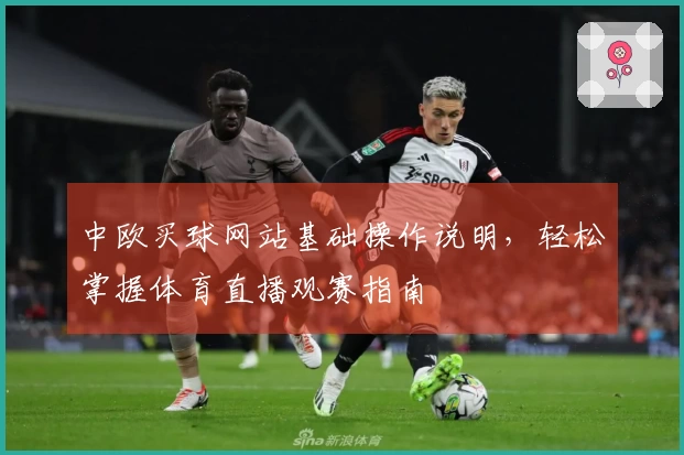 中欧买球网站基础操作说明，轻松掌握体育直播观赛指南